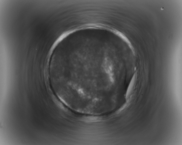 X0000084011373200703091918