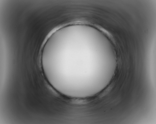 X0000084011374200703091918