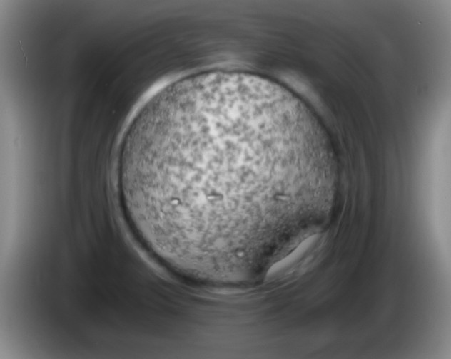 X0000084011375200703091918