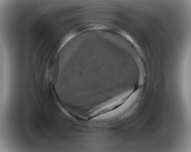 X0000084011377200703091918