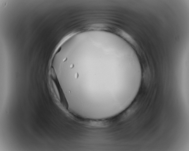 X0000084011378200703091918