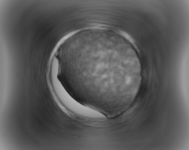 X0000084011379200703091918