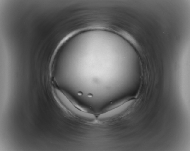 X0000084011380200703091918