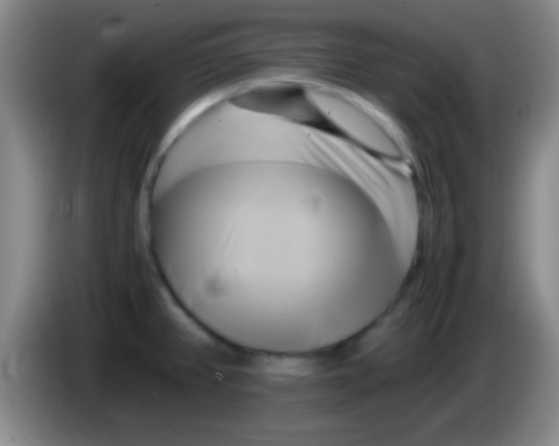 X0000084011382200703091918