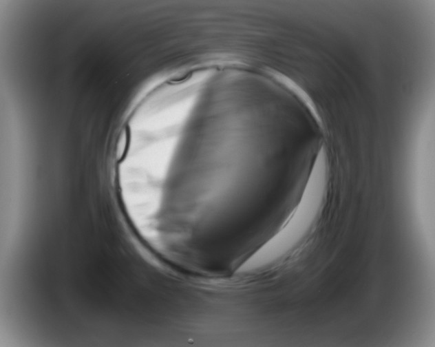 X0000084011383200703091918