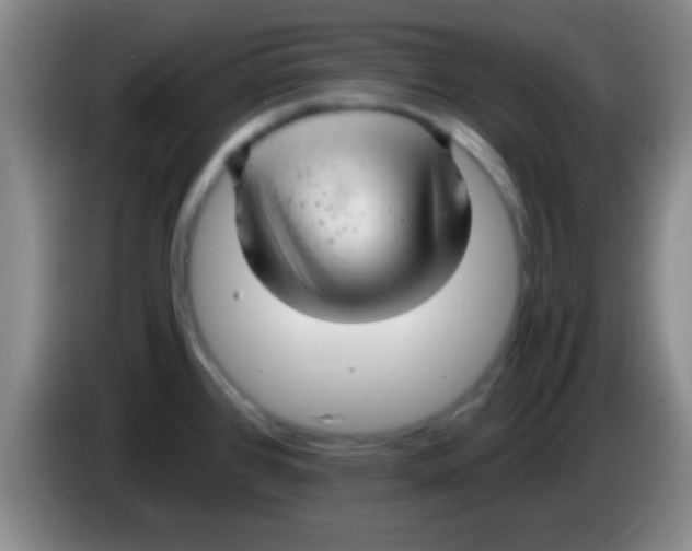 X0000084011384200703091918