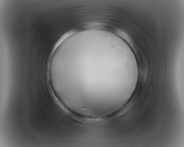 X0000084011386200703091918