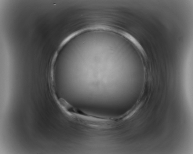 X0000084011388200703091918