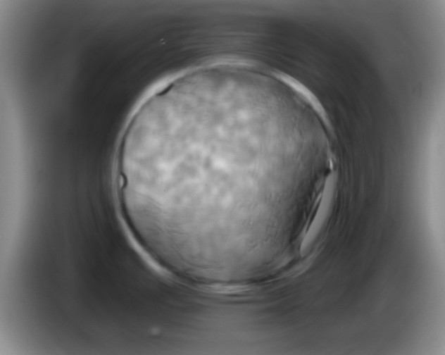 X0000084011391200703091917