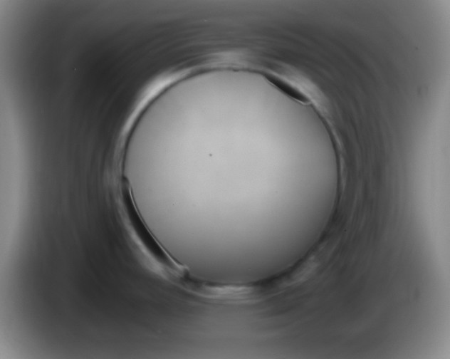 X0000084011392200703091917