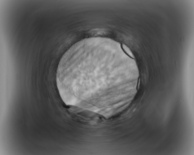 X0000084011393200703091917