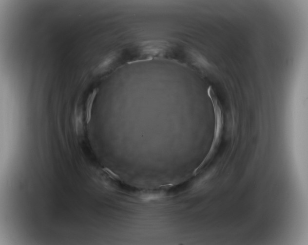 X0000084011394200703091917