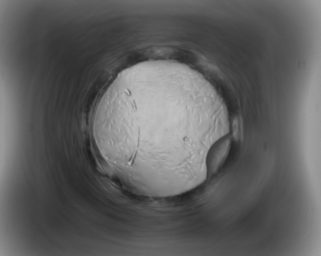 X0000084011395200703091917