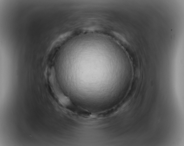 X0000084011398200703091917