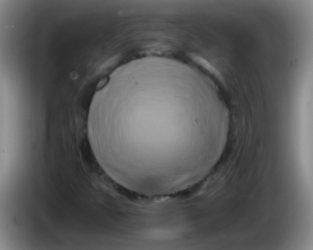 X0000084011399200703091917