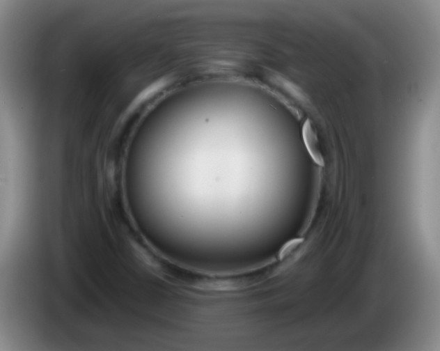 X0000084011402200703091917