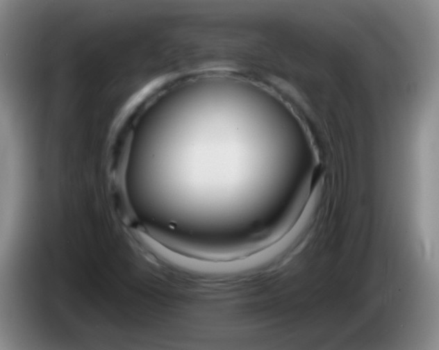 X0000084011406200703091917