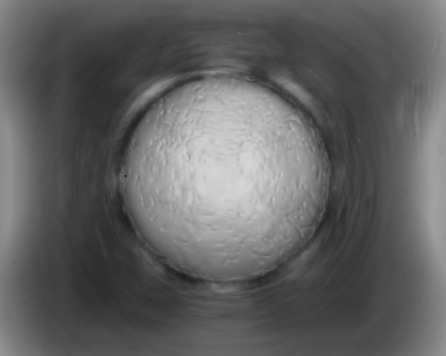 X0000084011407200703091917