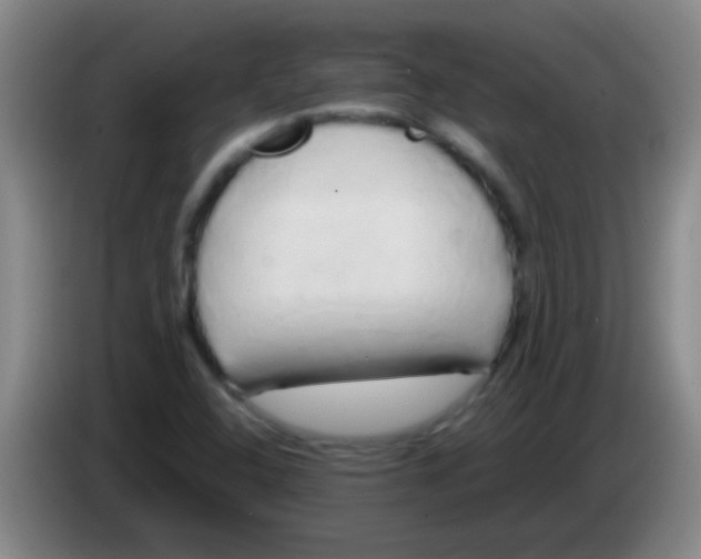 X0000084011408200703091917