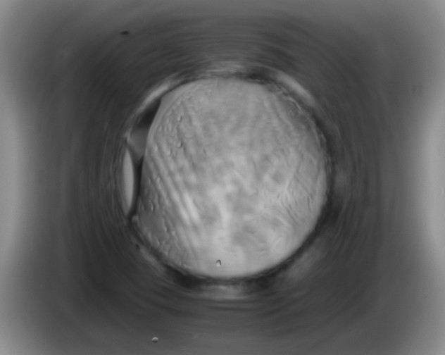 X0000084011409200703091917