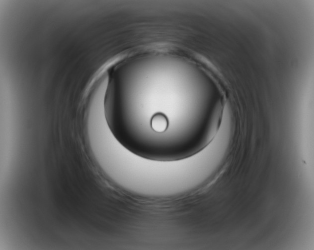 X0000084011410200703091917