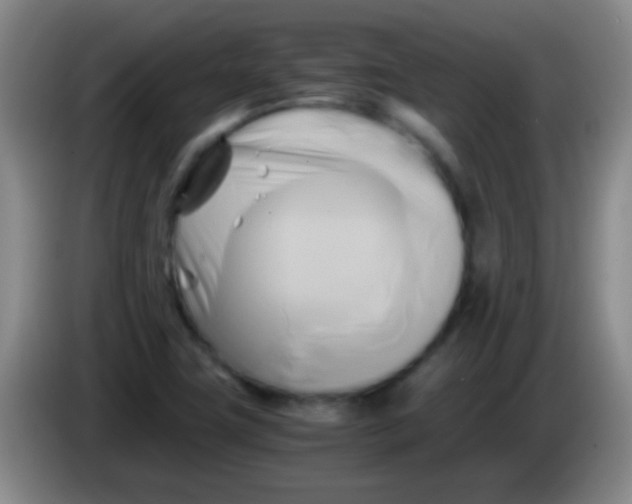 X0000084011411200703091917