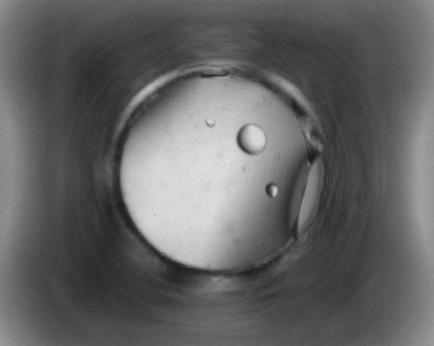 X0000084011412200703091917