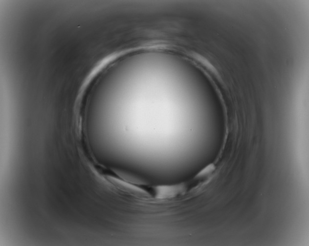 X0000084011414200703091917