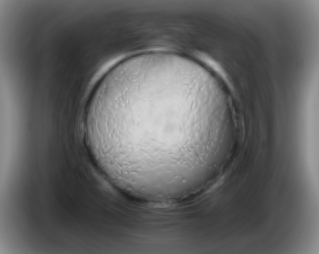 X0000084011415200703091917