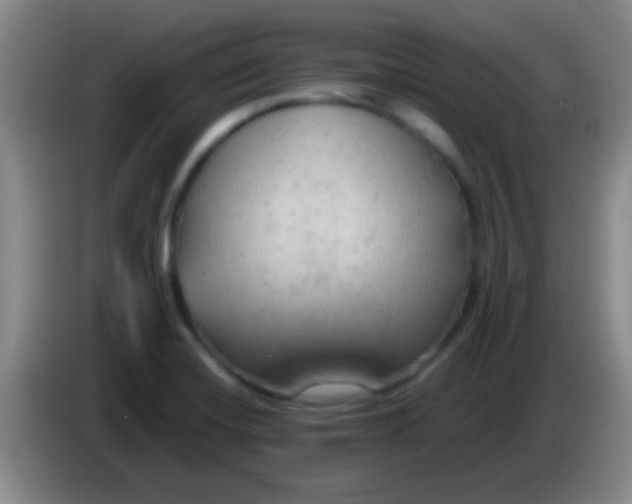 X0000084011420200703091917