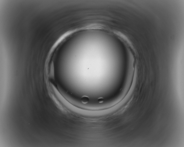 X0000084011422200703091917