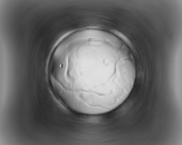 X0000084011423200703091917