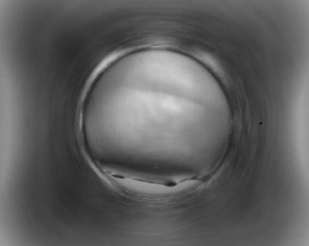 X0000084011424200703091917