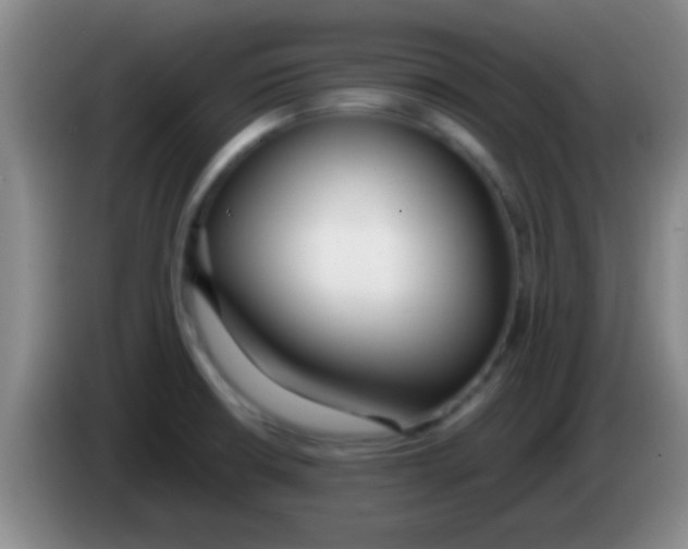 X0000084011426200703091917