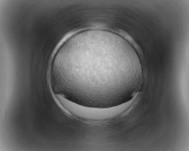 X0000084011432200703091917