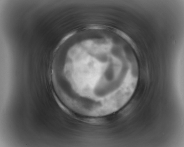 X0000084011433200703091917