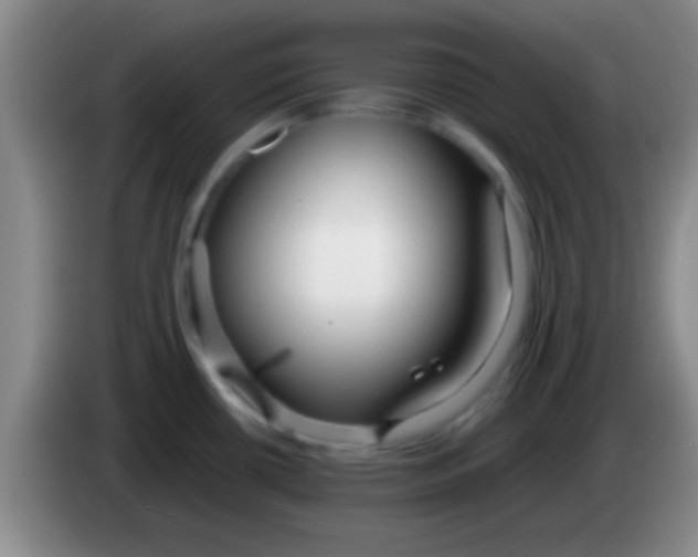 X0000084011434200703091917