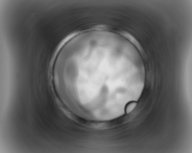 X0000084011435200703091917