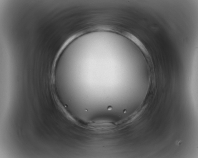 X0000084011436200703091917