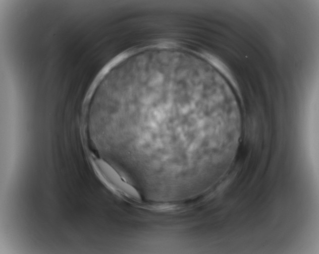 X0000084011437200703091917