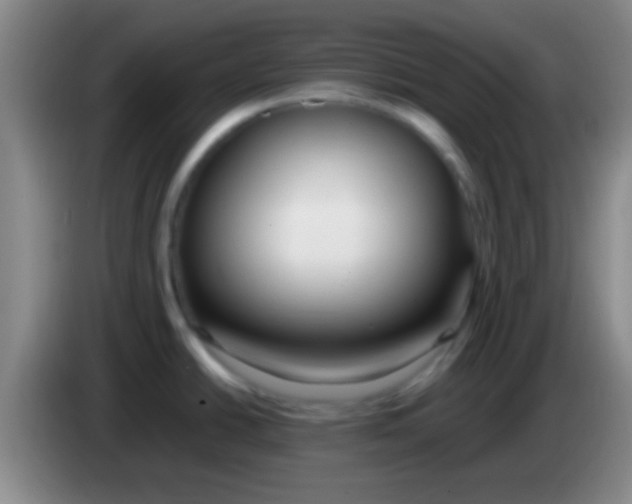 X0000084011438200703091917