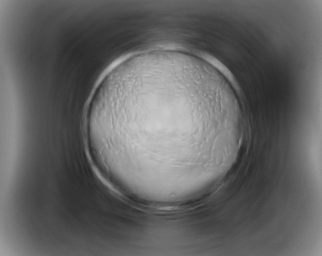 X0000084011439200703091917