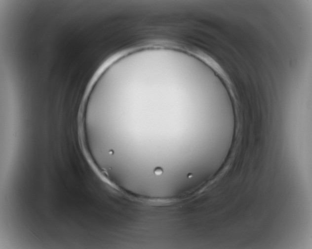 X0000084011440200703091917