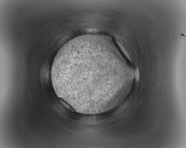 X0000084011444200703091917