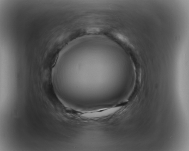 X0000084011445200703091917