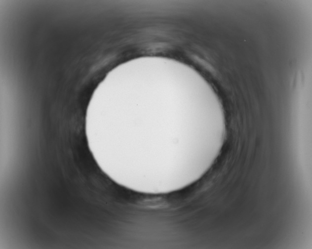 X0000084011447200703091917