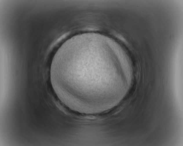 X0000084011448200703091917