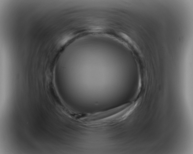 X0000084011449200703091917