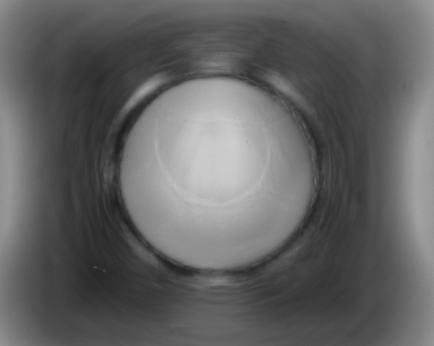 X0000084011450200703091917