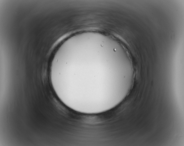 X0000084011452200703091917